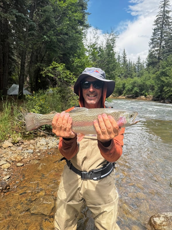 Rainbow_Trout_Colorado_Fly_Fishing