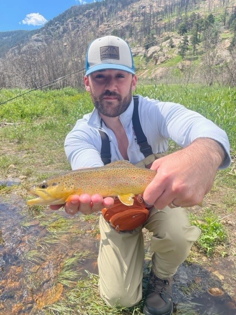 Brown Trout caught in RMNP