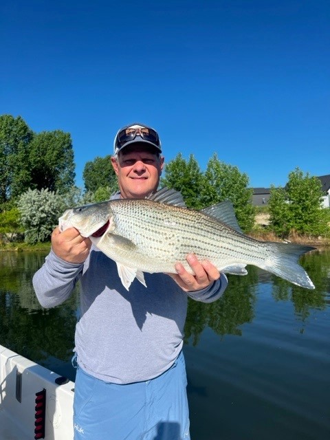 Wiper Fishing Colorado
