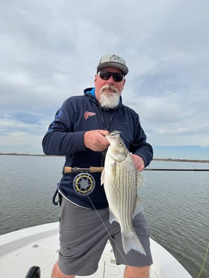 Jackson_Reservoir_Wiper