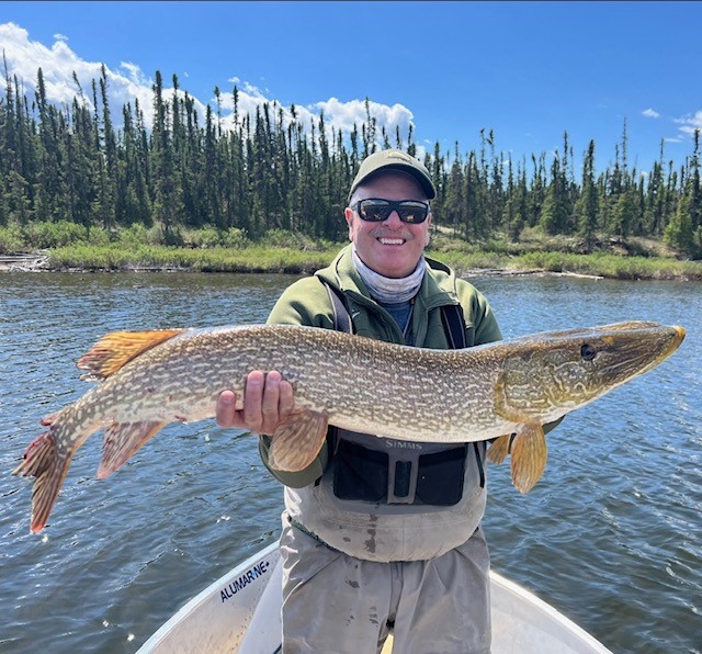 Northern Pike on the Fly