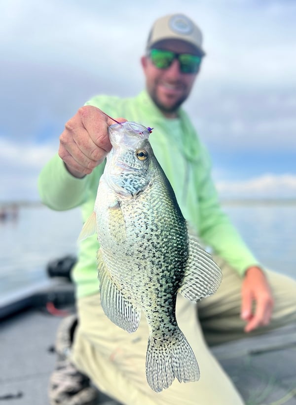 crappie caught fly fishing in Colorado
