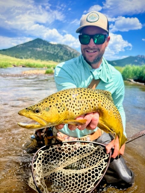 Rocky Mountain National Park Brown Trout Fly Fishing