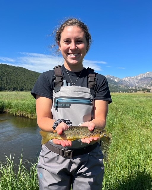 Guided Fly Fishing in Estes Park