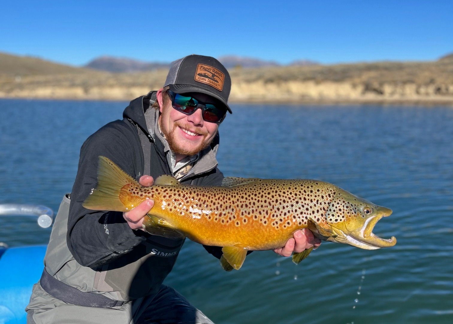 Brown Trout Fly Fishing Colorado