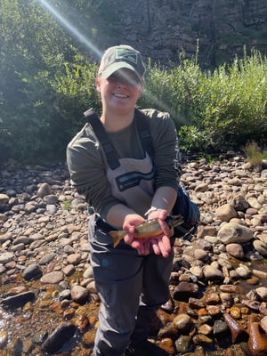 RMNP TROUT